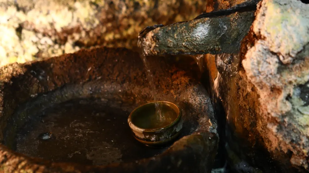 Ảnh Nozawa Onsen Tokiwaya Ryokan