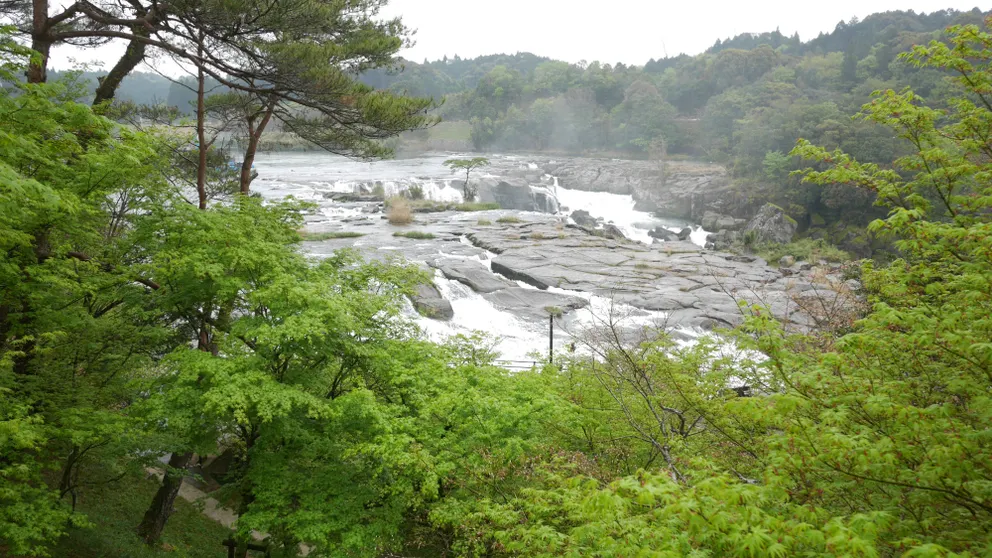 Ảnh Shiki no Mori Shibian