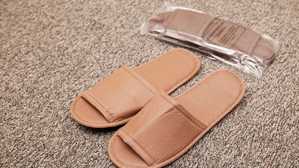 Ảnh Hotel Route-Inn Fujieda Ekikita