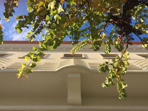 Ảnh CASA 92- Studio Apartment