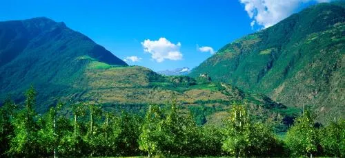 Ảnh Gasthof Weisses Kreuz