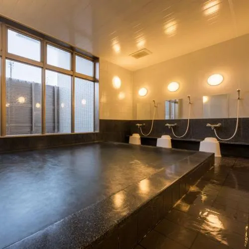 Ảnh Grand Park Hotel Odate