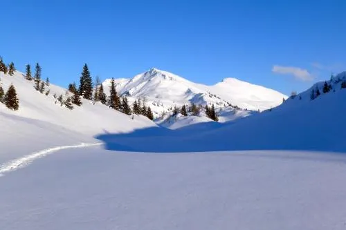 Ảnh Appartementhaus Unterkofler