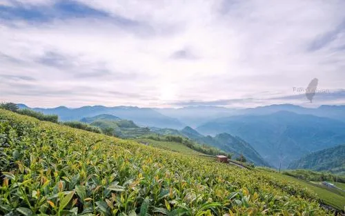 Ảnh A-Li A-Li Homestay (Not Accept On Day Booking)