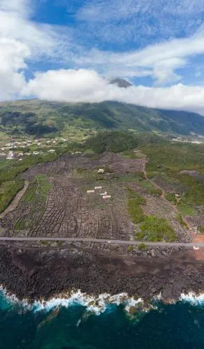 Ảnh Insula Atlantis Apartments