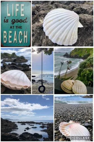 Ảnh Kokomo Retreat