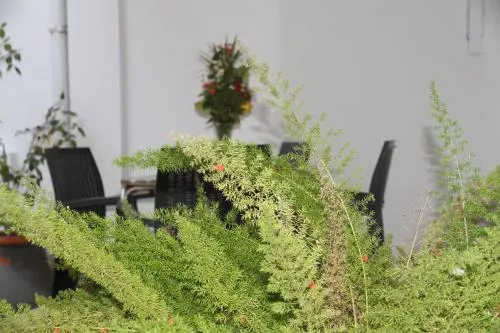 Ảnh Turismo Guadiana - Casas