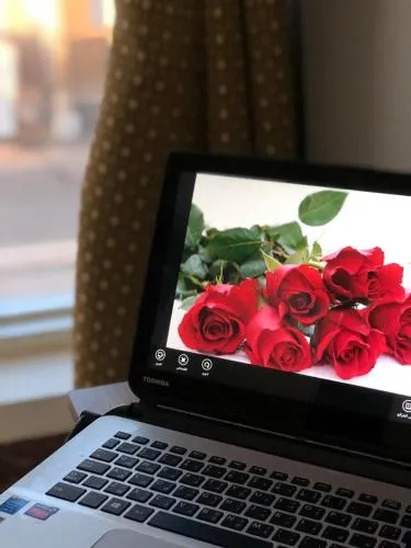 Ảnh Aris Furnished Apartments