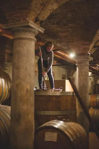 Ảnh Musella Winery & Relais