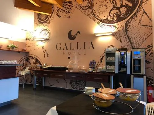 Ảnh Hotel Gallia