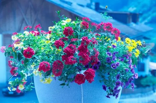 Ảnh Lapis Monti - Apartments & Suites