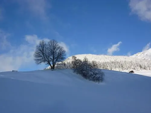 Ảnh Landhaus Lexner