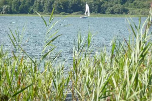 Ảnh Appartements Caroline