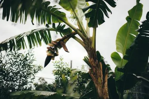 Ảnh Retiro Atlantico