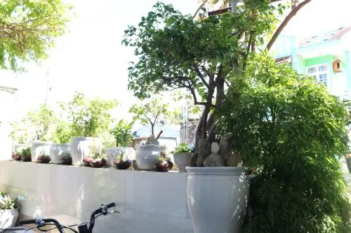 Ảnh Green Garden House