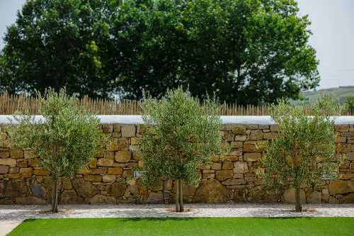 Ảnh Pátio da Figueira