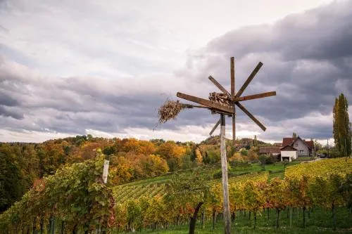 Ảnh Weingut Leopold Dietrich