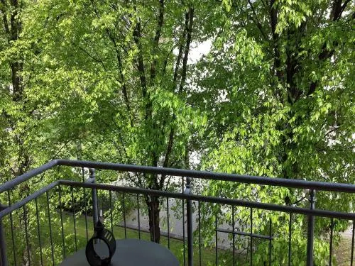 Ảnh FeWo 2,4,5,6 Altstadt - Am grossen Garten