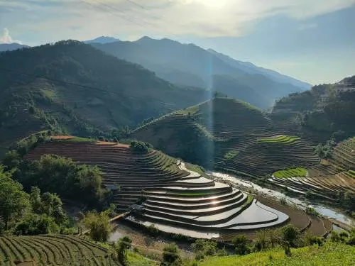 Ảnh Indigenous homestay- Trek- Food- Bus