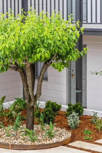 Ảnh Wildes Hotel Kangaroo Valley