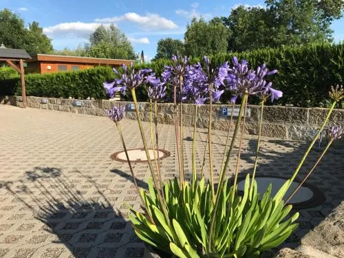 Ảnh Kaitzbach-Idylle