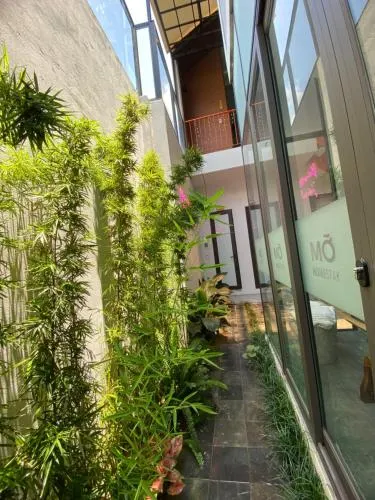 Ảnh Mỡ homestay Cao Bằng 