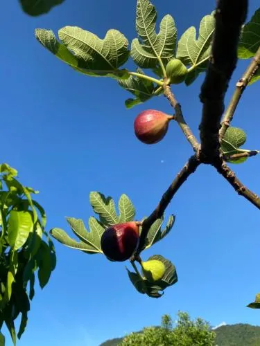 Ảnh Hills and Valleys