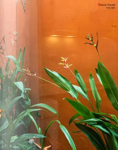 Ảnh Nexus House Garden Thao Dien