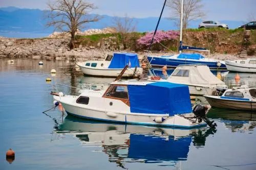 Ảnh Hotel Villa Schubert