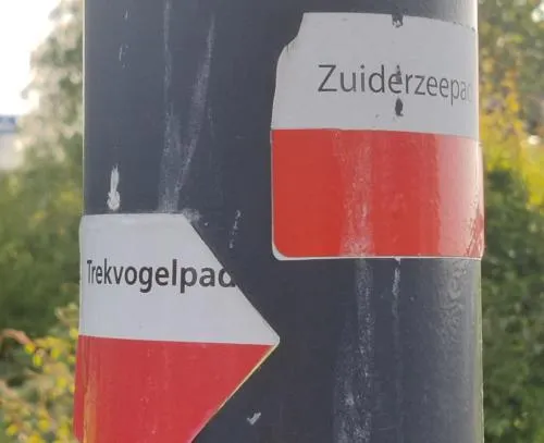 Ảnh B&B House of Straw Amsterdam