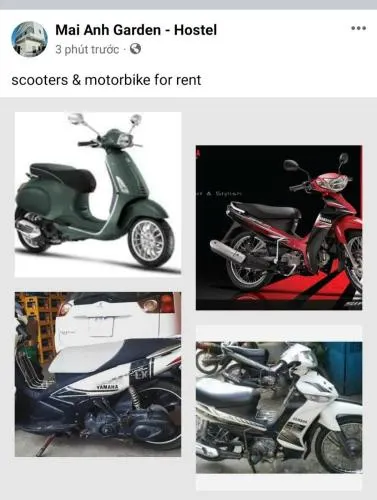 Ảnh Mai Anh Garden