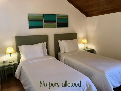 Ảnh Vida-Vi B and B