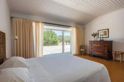 Ảnh Nature Forest - Herdade de Martingil