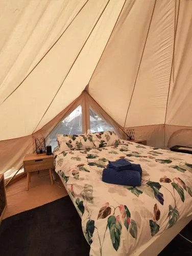 Ảnh Glamping at Zeehan Bush Camp