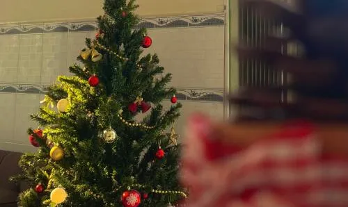 Ảnh ARYE guest house