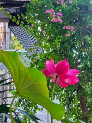 Ảnh Sunny 1 Hometel Vinh Long