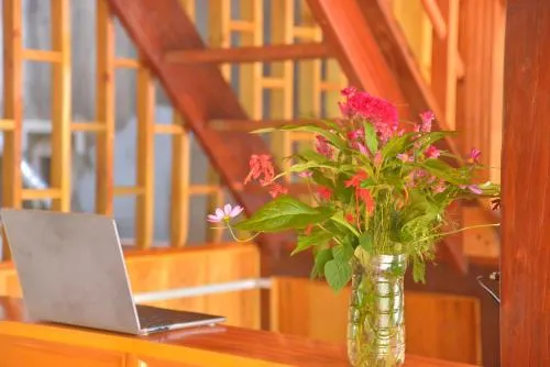 Ảnh Duong Thuong - Eco House