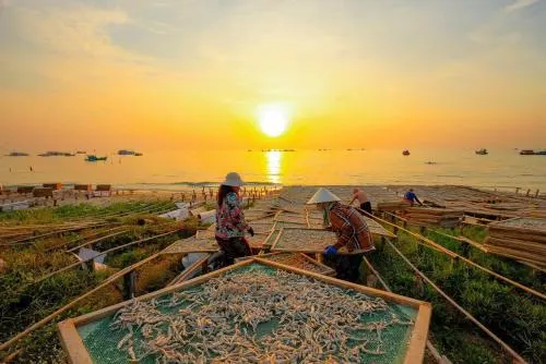 Ảnh Eirlys Home Apartment with Fireworks View, Phu Quoc Beach