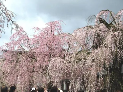 Ảnh Hotel B4T Kakunodate