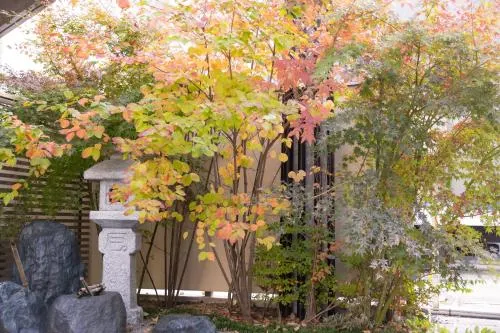 Ảnh Rewit building