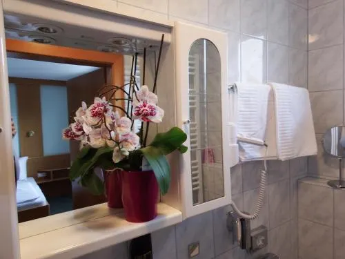 Ảnh Gartenpension Fischl