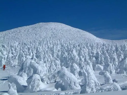 Ảnh Zao Onsen Zao Kokusai Hotel