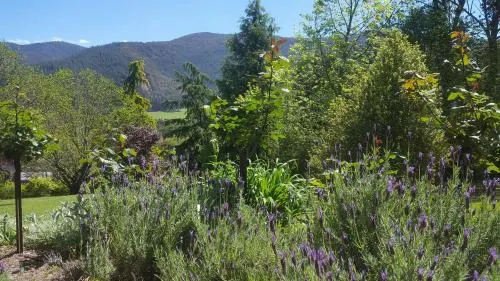 Ảnh Abby's Cottages