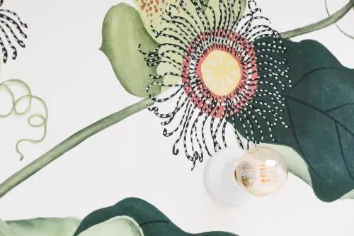 Ảnh Kith & Kin Boutique Apartments