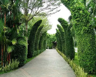 Ảnh người dùng đánh giá Forever Green Resort