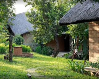 Ảnh người dùng đánh giá Tomodachi Retreat Làng Mít