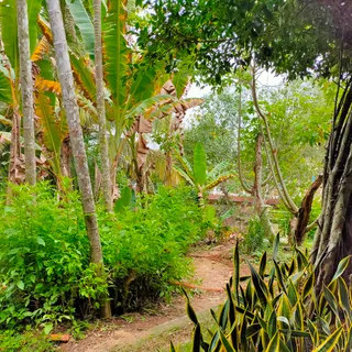 Ảnh người dùng đánh giá Forever Green Resort