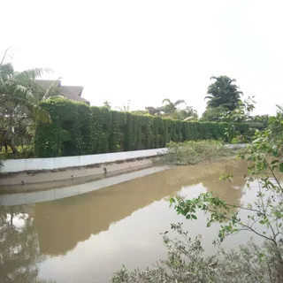 Ảnh người dùng đánh giá Forever Green Resort