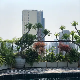 Ảnh người dùng đánh giá Sanouva Danang Hotel – Daily Afternoon Tea Inclusive