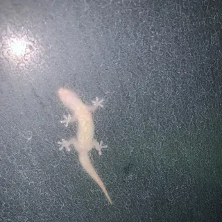 Ảnh người dùng đánh giá Mekong Riverside Boutique Resort & Spa